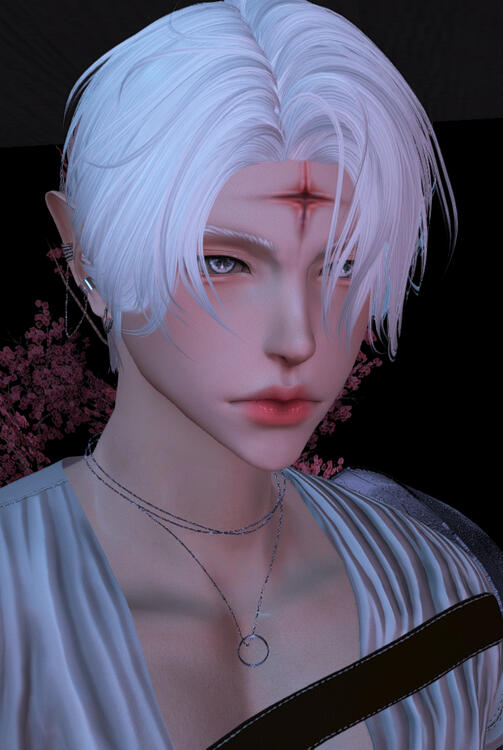 Luci